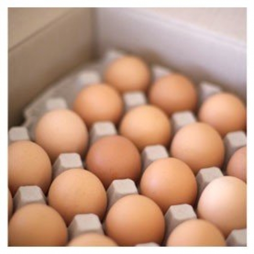 Free Range Eggs Loose - Pirovic